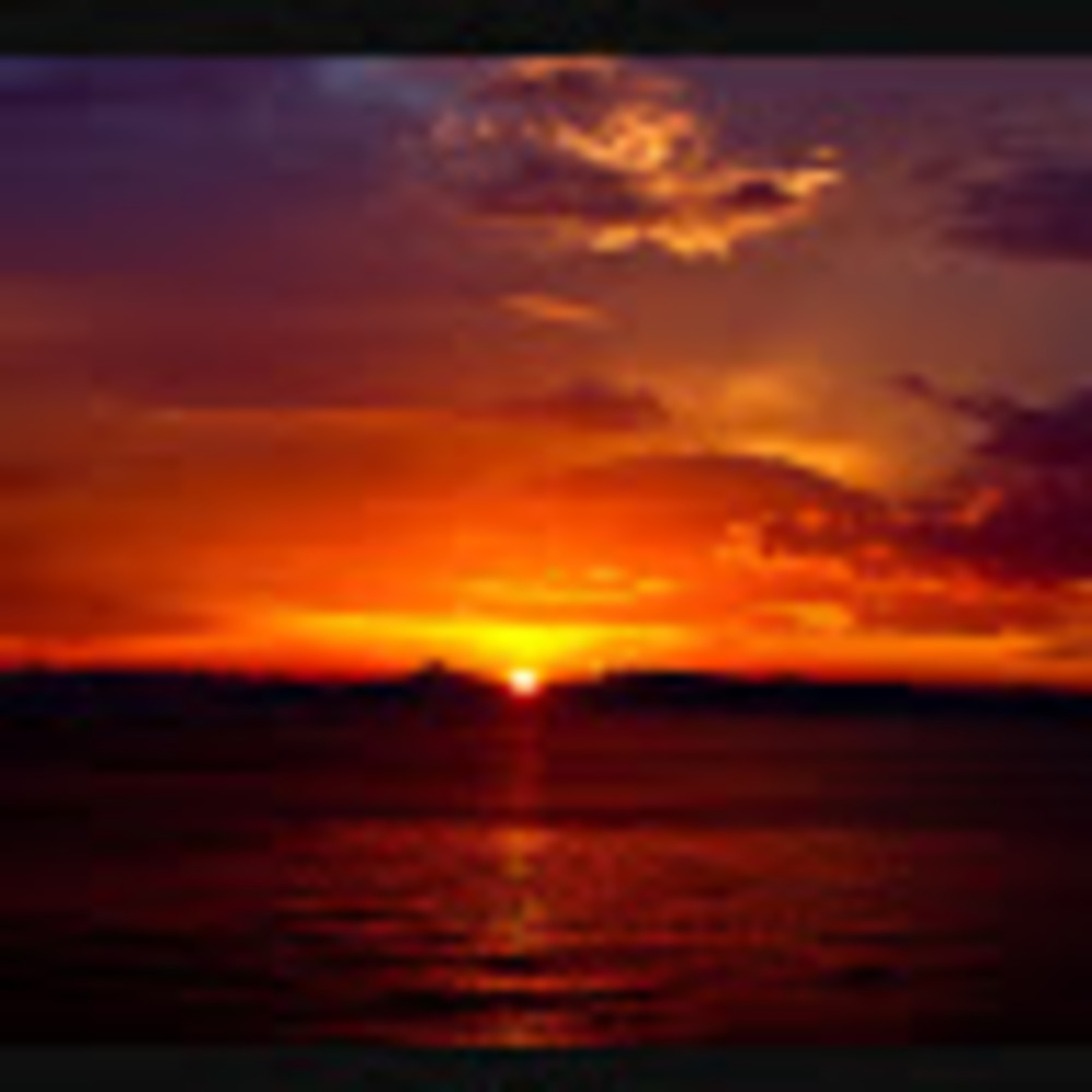 Meet your Posher, Antonia